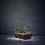 Traditional Christmas Fruitcake